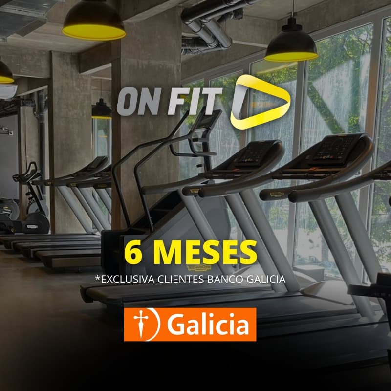 6 Meses